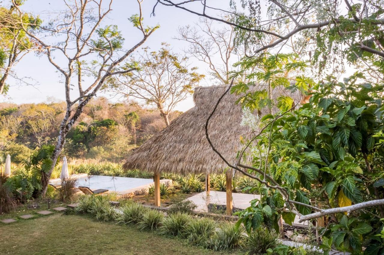 Thea Resort & Retreats - Santa Teresa Playa Santa Teresa  エクステリア 写真
