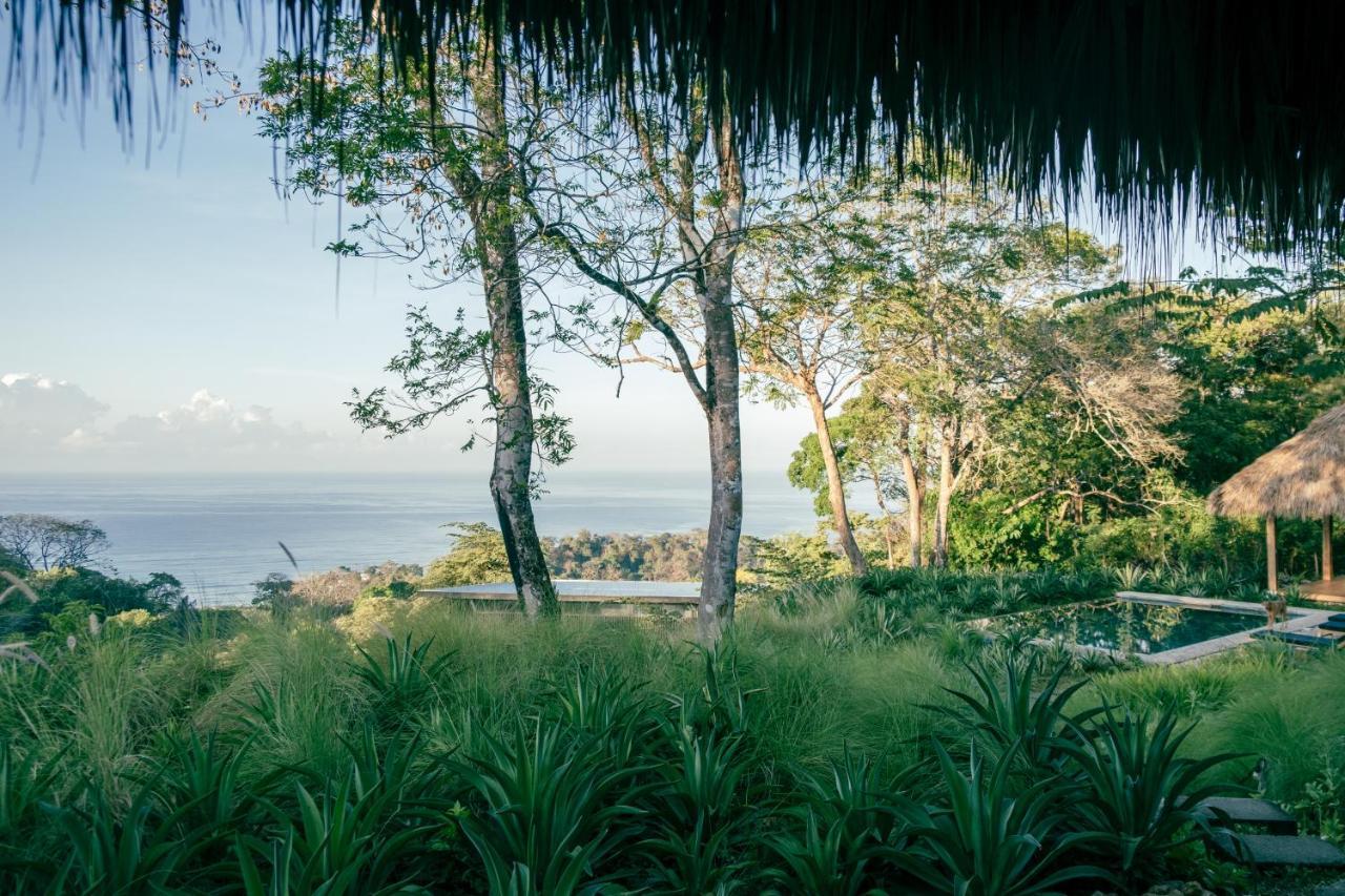 Thea Resort & Retreats - Santa Teresa Playa Santa Teresa  エクステリア 写真