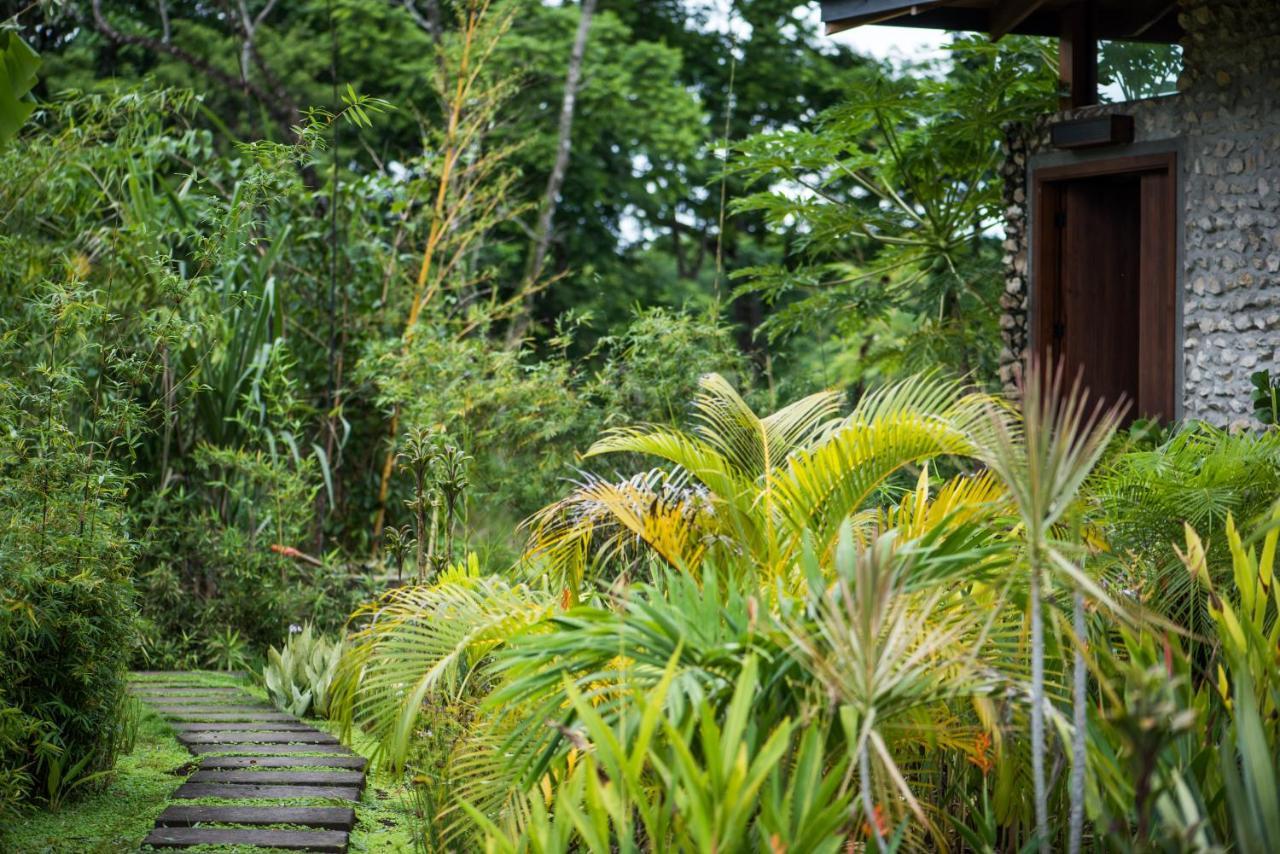 Thea Resort & Retreats - Santa Teresa Playa Santa Teresa  エクステリア 写真